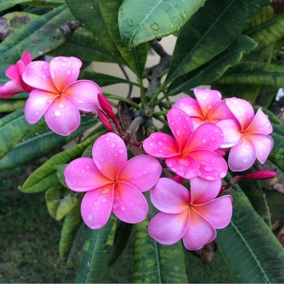 Meet your Posher, Kelcie (Feel Free to Bookmark My Closet) π» - Picture 1 of 5